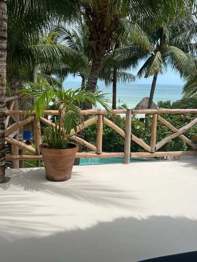 Casa Tom Tom - Adults Only Bed & Breakfast Isla Holbox