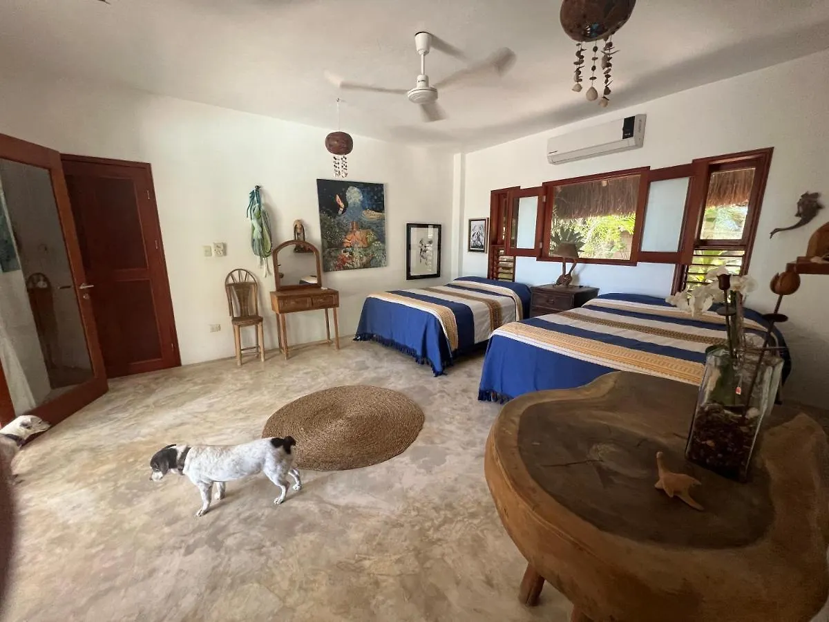 Casa Tom Tom - Adults Only Bed & Breakfast Isla Holbox 0*,