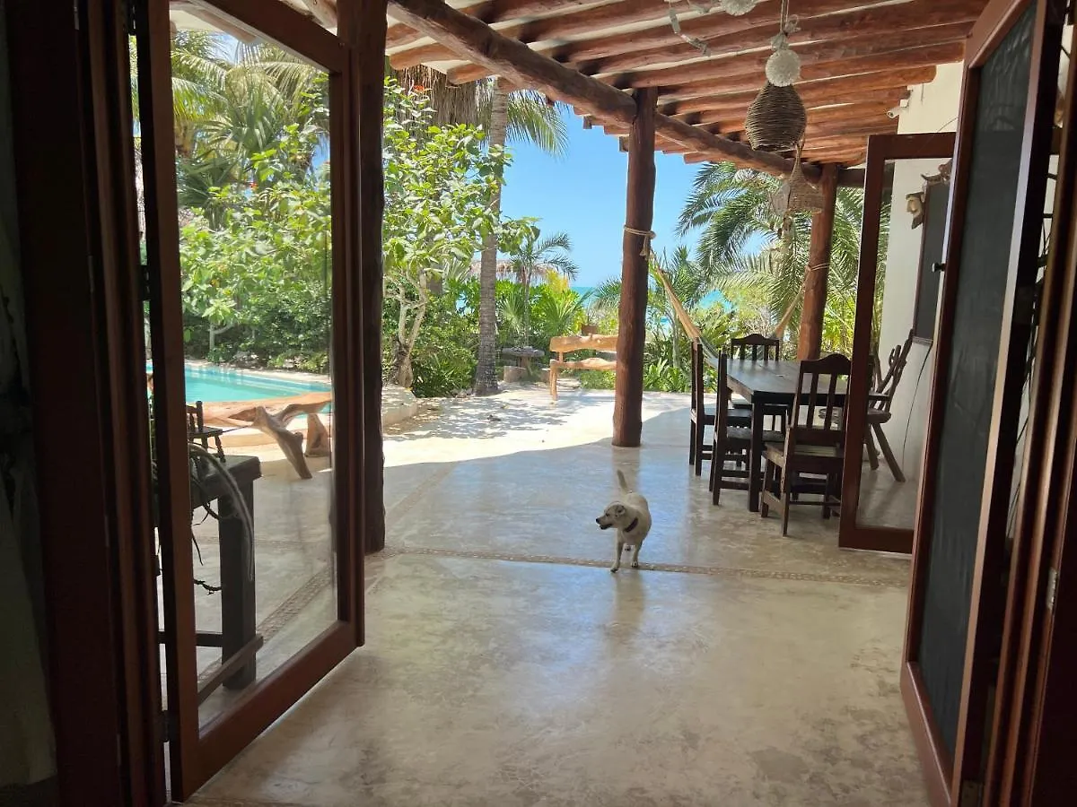 Casa Tom Tom - Adults Only Bed & Breakfast Isla Holbox