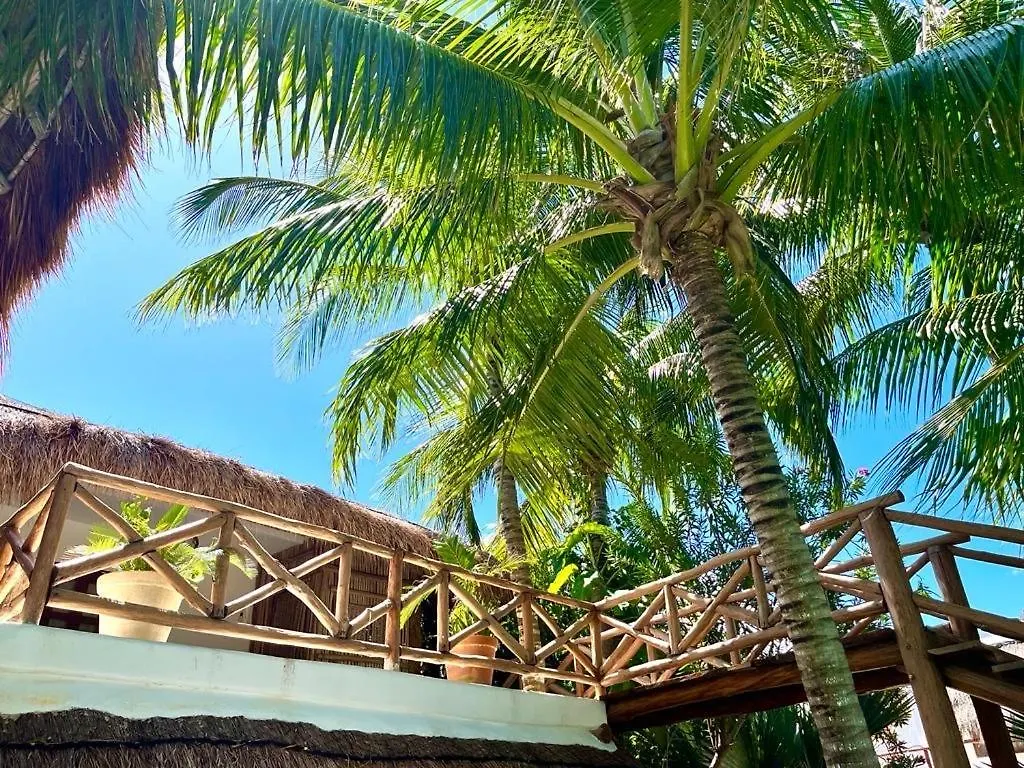 Casa Tom Tom - Adults Only Bed & Breakfast Isla Holbox
