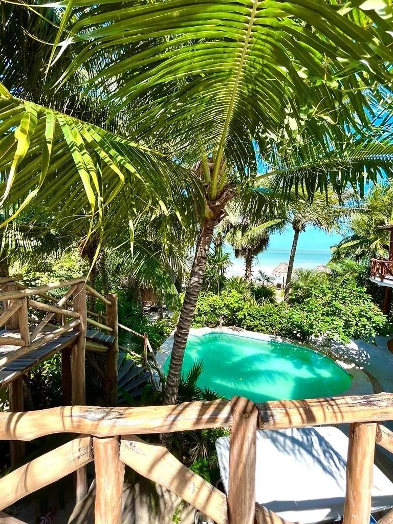 Casa Tom Tom - Adults Only Bed & Breakfast Isla Holbox 0*,  Mexico