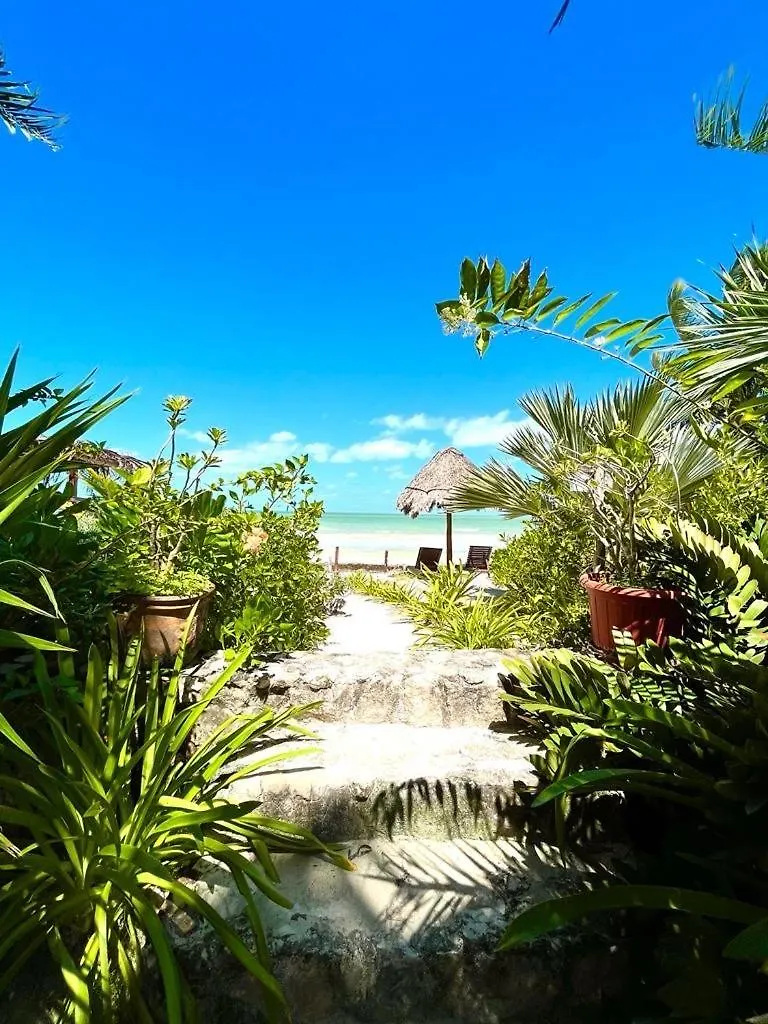 Casa Tom Tom - Adults Only Bed & Breakfast Isla Holbox Mexico