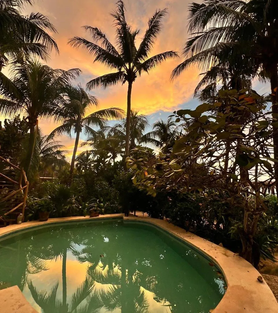 Isla HolboxCasa Tom Tom - Adults Only住宿加早餐旅馆