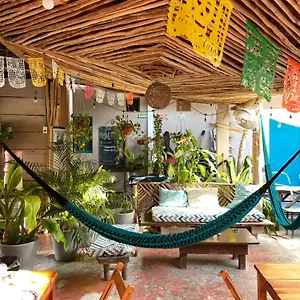 Hostel Barco, Isla Holbox