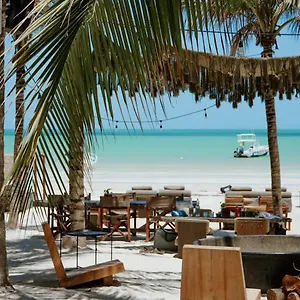 4* Hotell Casa Tortugas Petit &